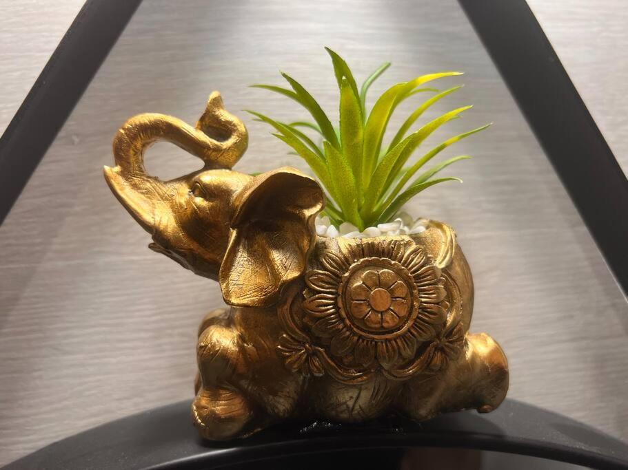 Top Loft Perles 4 Des Chateaux Mer Ngoại thất bức ảnh